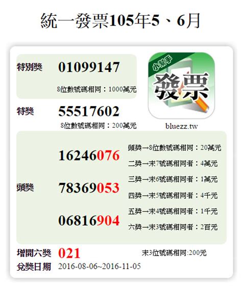 統一發票5 6月 2024 113 發票小幫手.